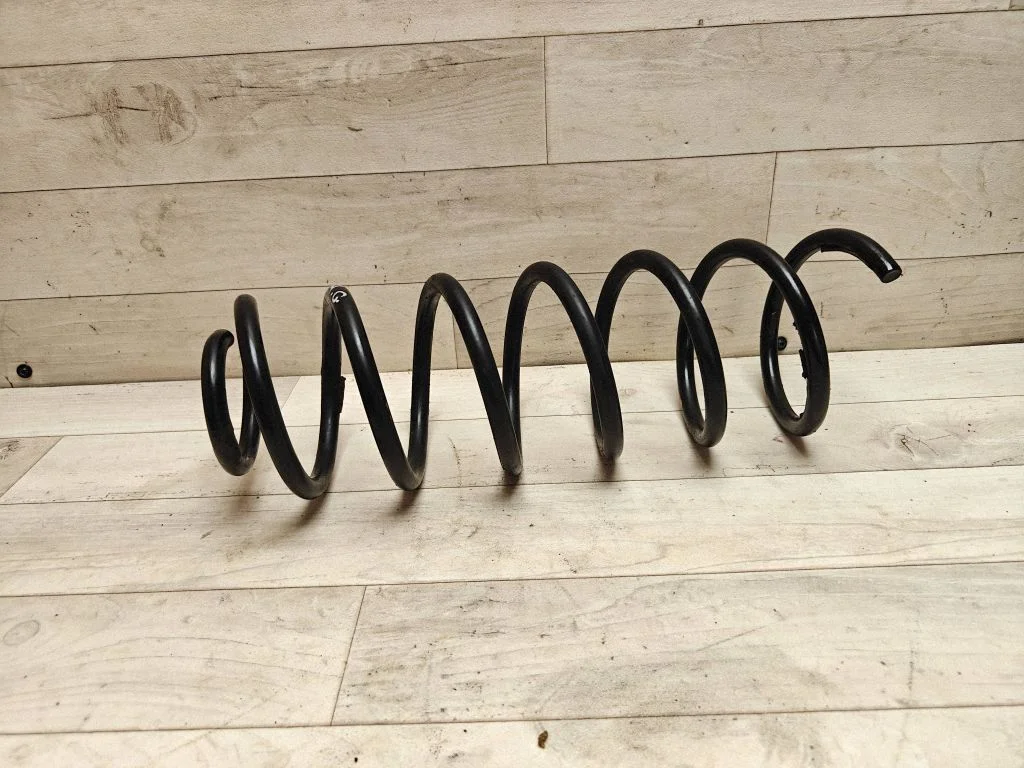 Rear coil spring