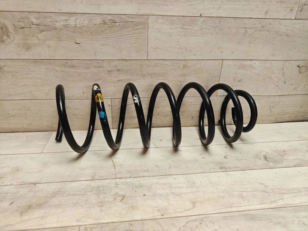 Rear coil spring