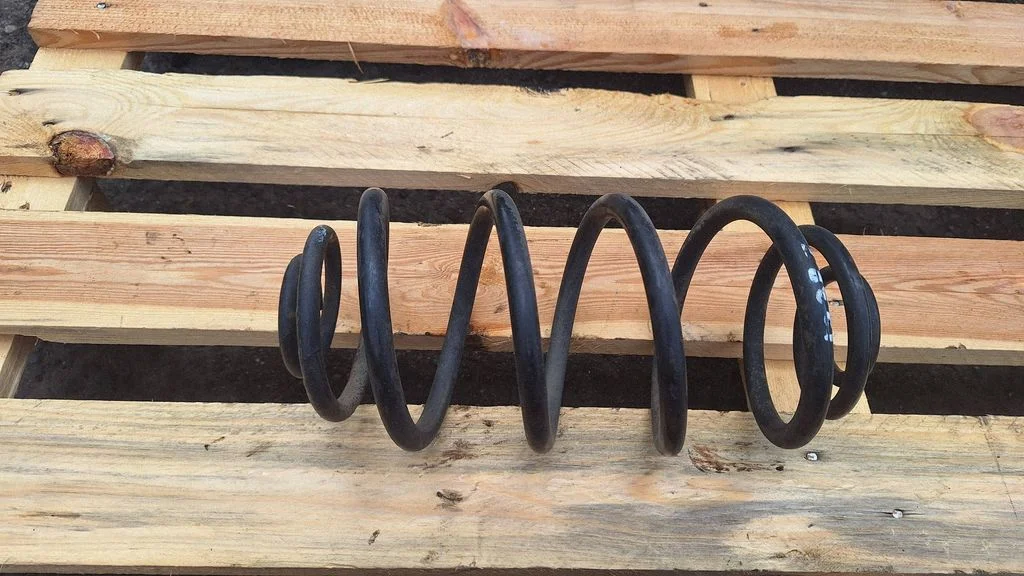 Rear coil spring
