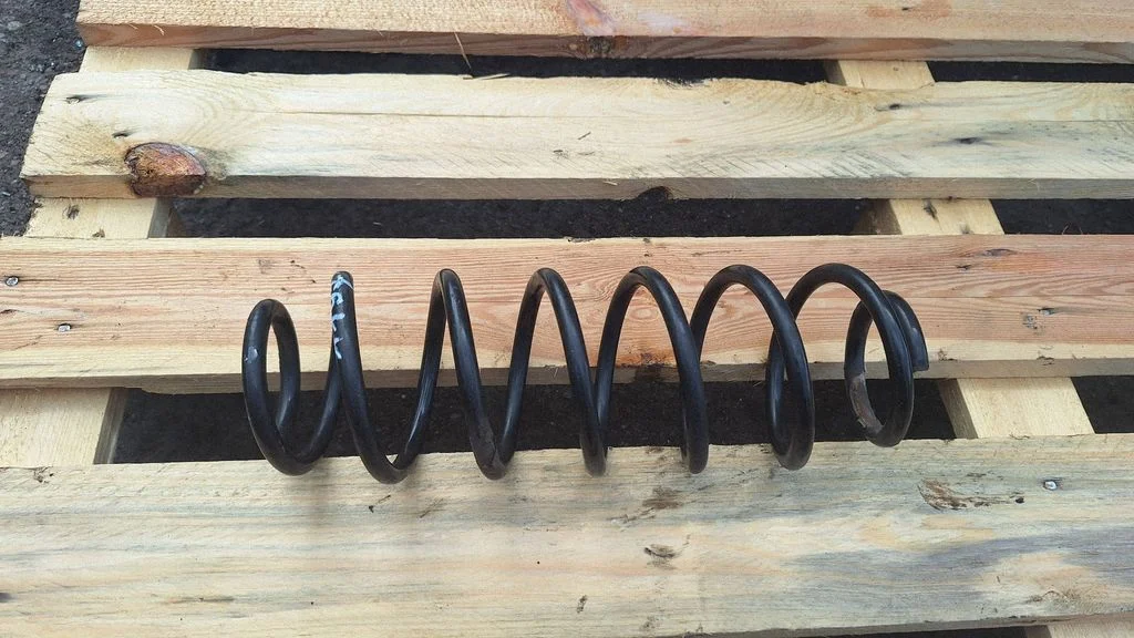 Rear coil spring