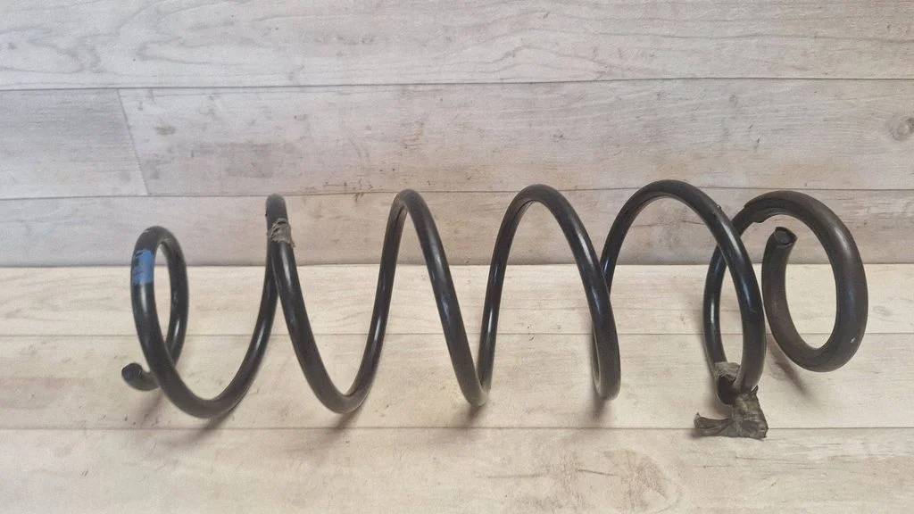 Rear coil spring