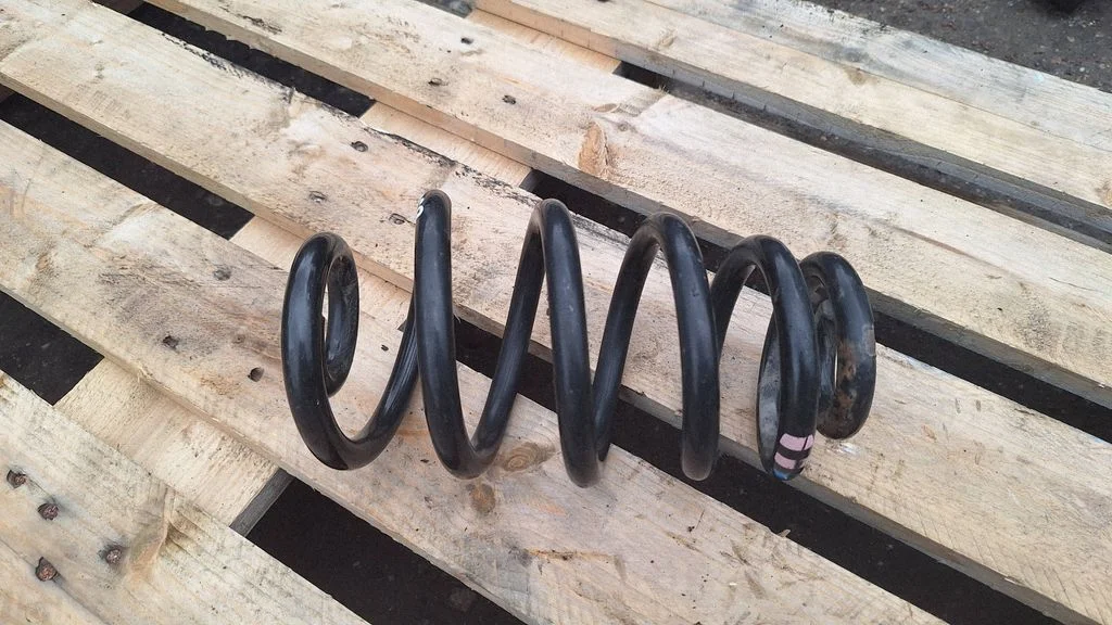 Rear coil spring