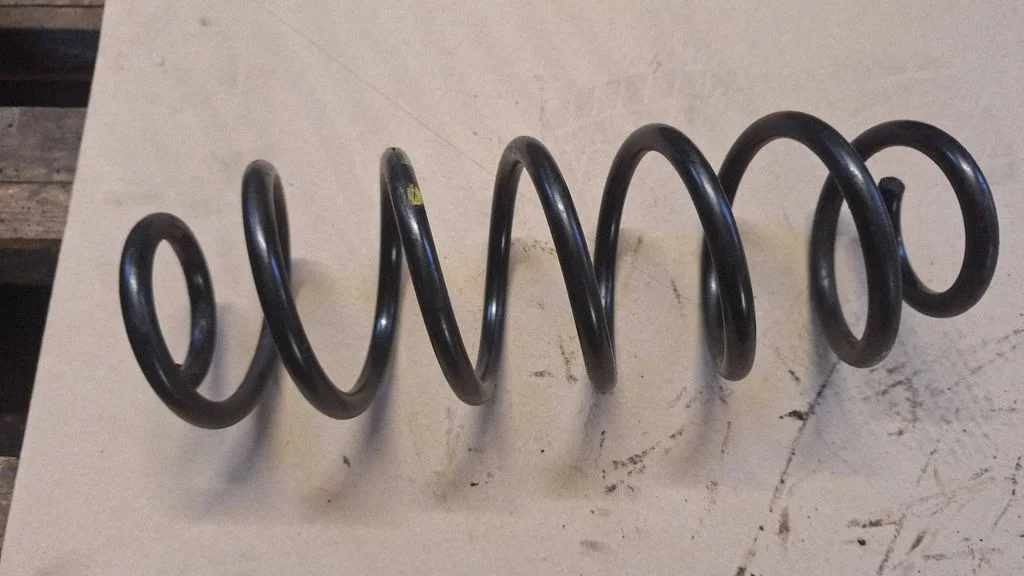 Rear coil spring