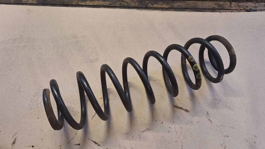 Rear coil spring
