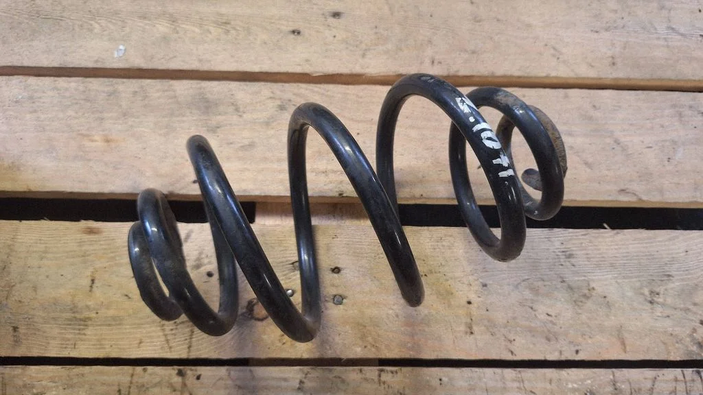 Rear coil spring