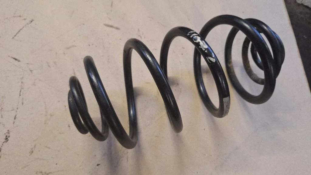 Rear coil spring
