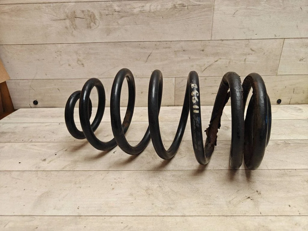 Rear coil spring