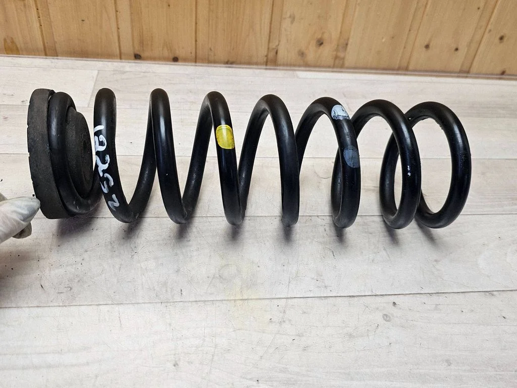 Rear coil spring