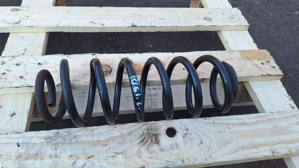 Rear coil spring