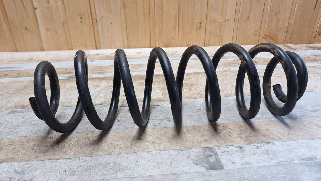 Rear coil spring