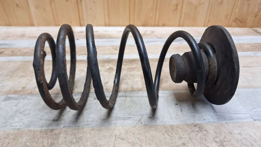 Rear coil spring