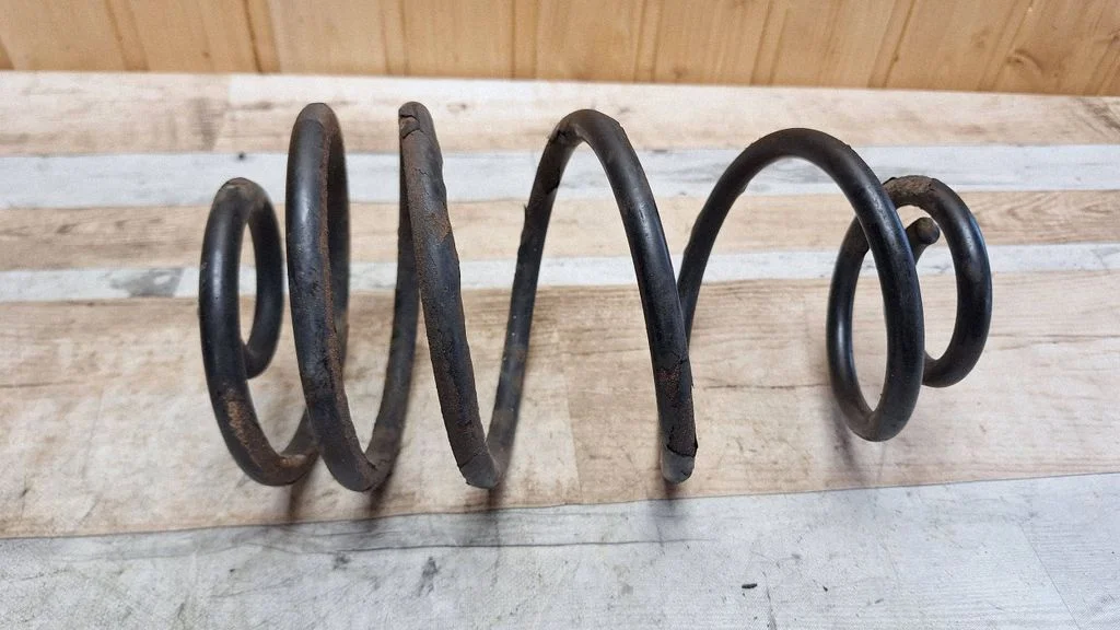 Rear coil spring