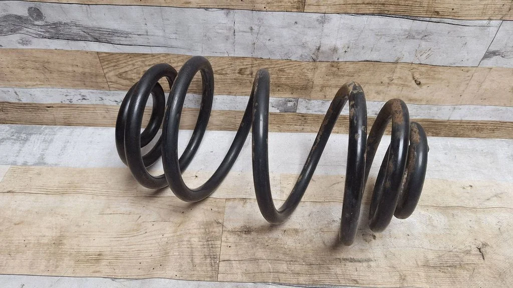 Rear coil spring