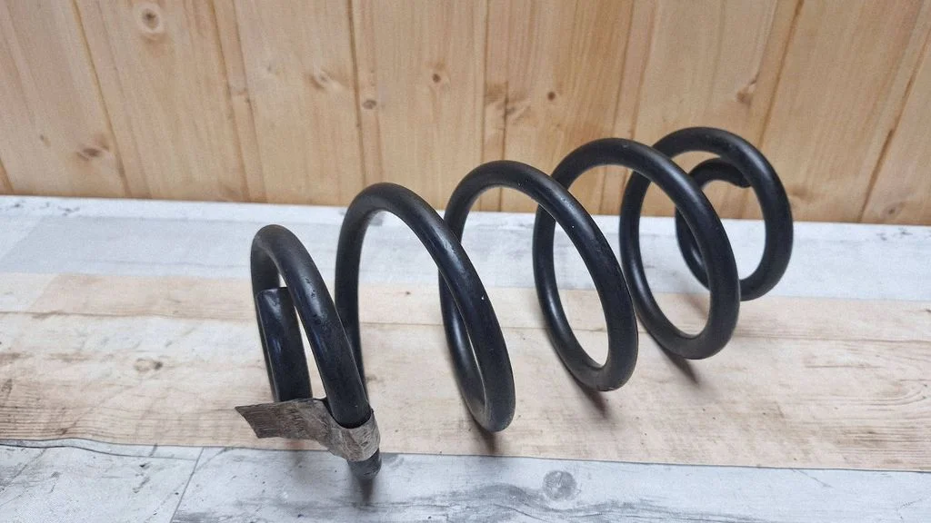 Rear coil spring