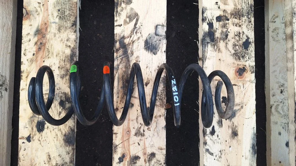 Rear coil spring