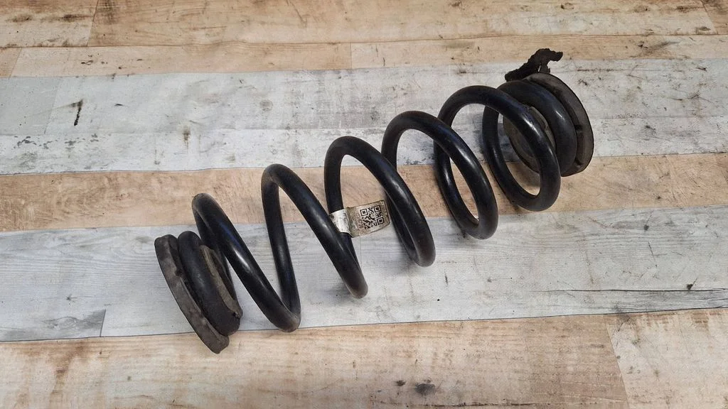 Rear coil spring