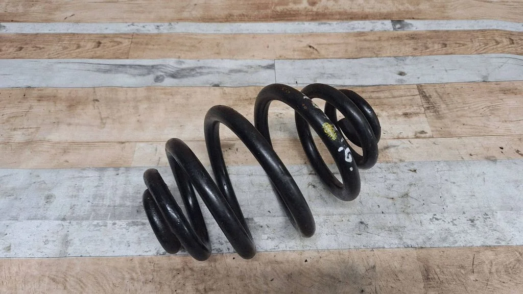 Rear coil spring