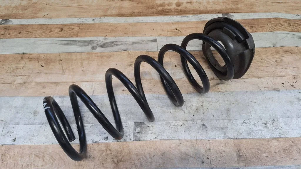 Rear coil spring