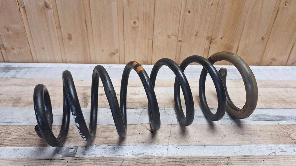 Rear coil spring