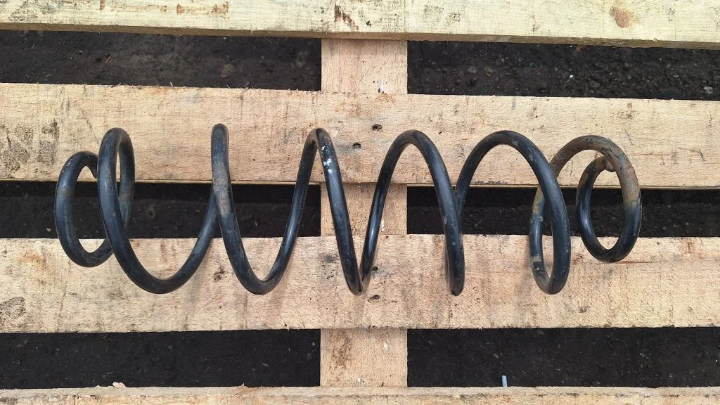 Rear coil spring