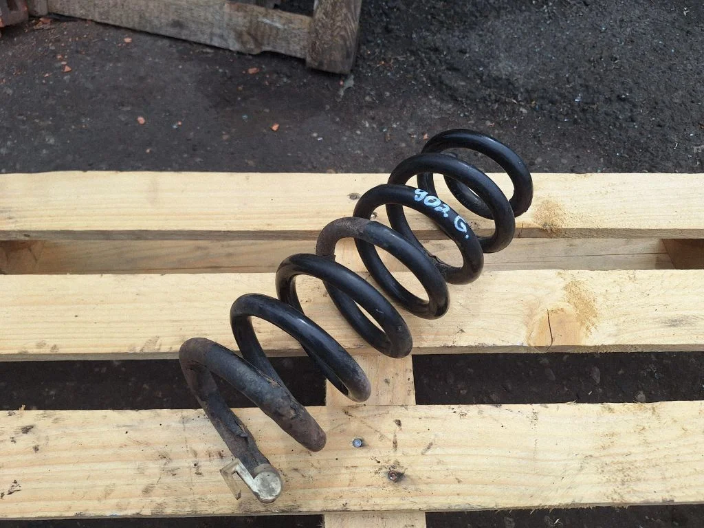 Rear coil spring