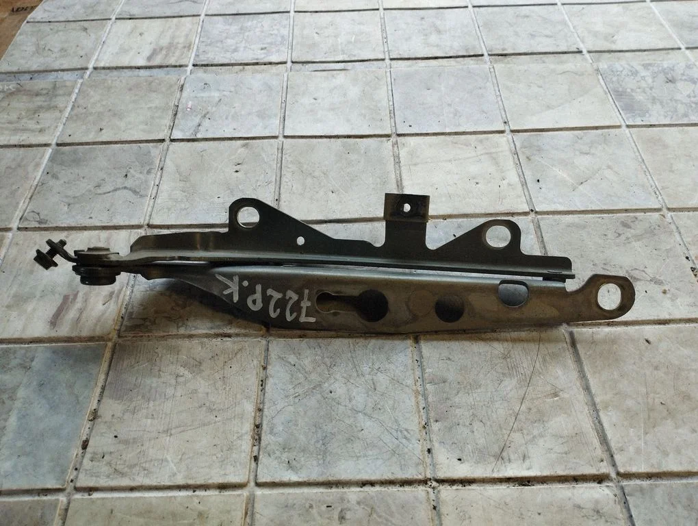 Engine bonnet/hood hinges – front left