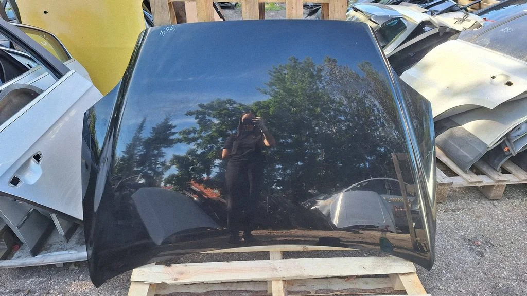 Engine bonnet/hood