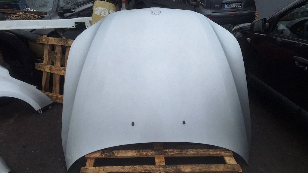 Engine bonnet/hood