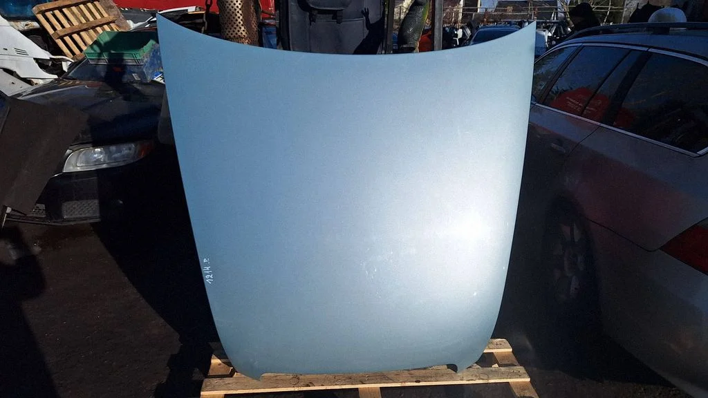 Engine bonnet/hood