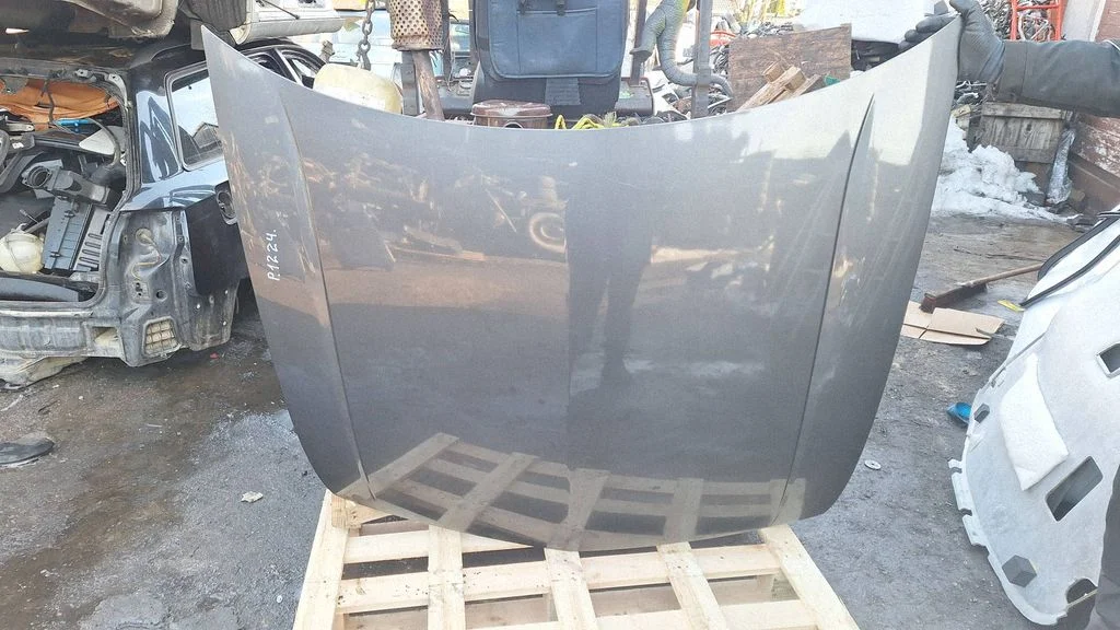 Engine bonnet/hood