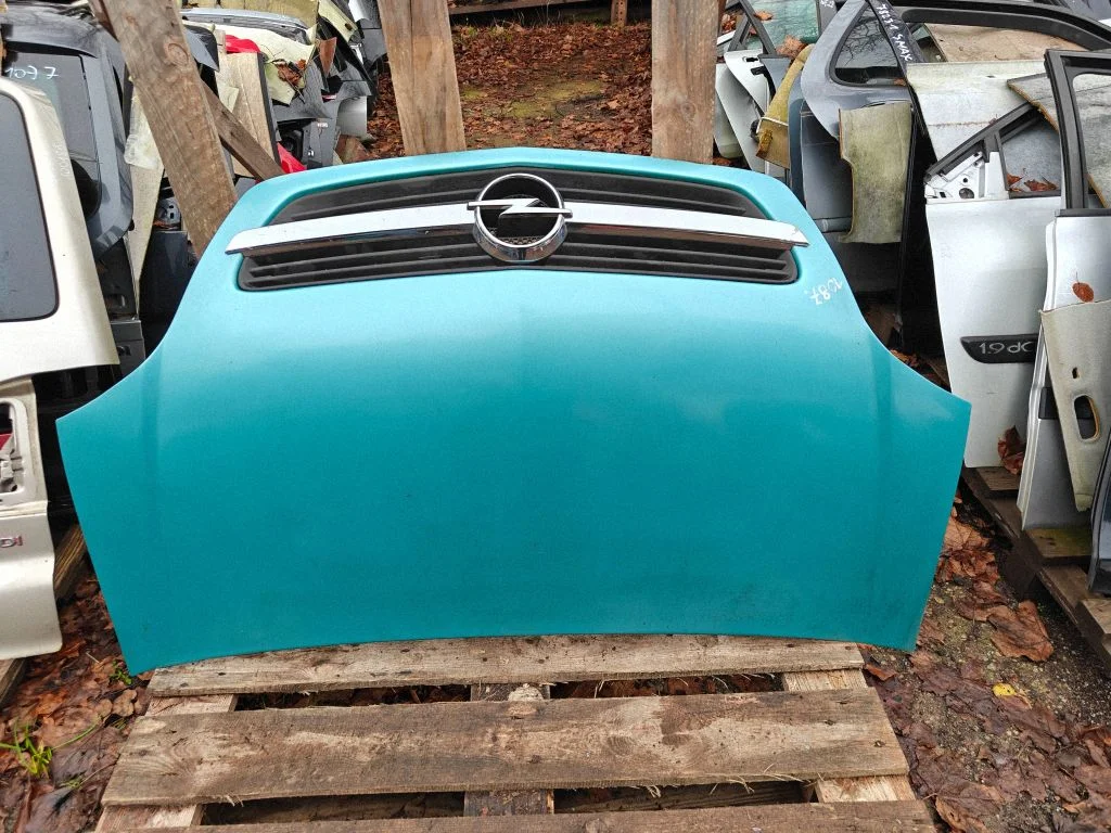 Engine bonnet/hood