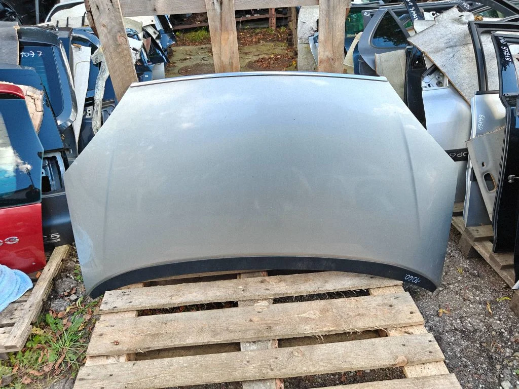 Engine bonnet/hood