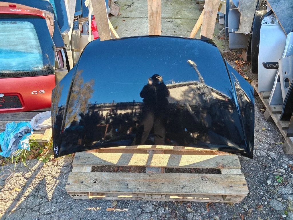Engine bonnet/hood