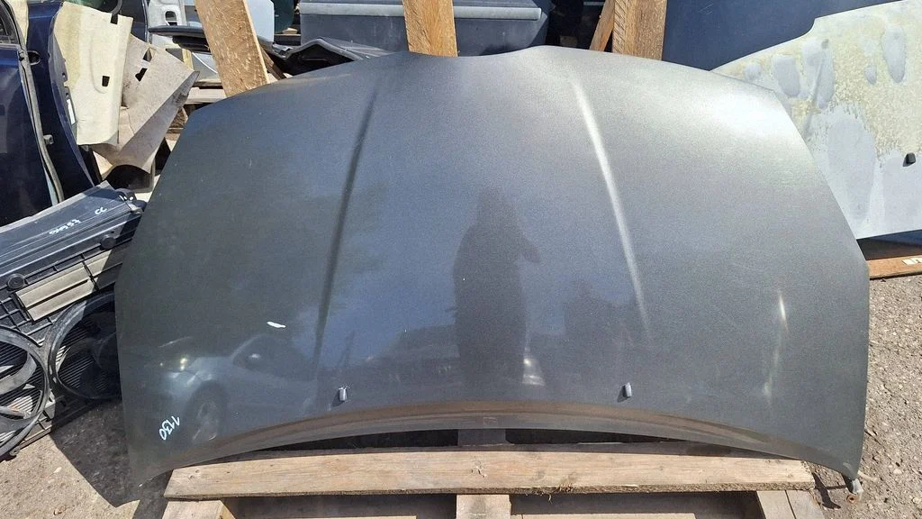 Engine bonnet/hood