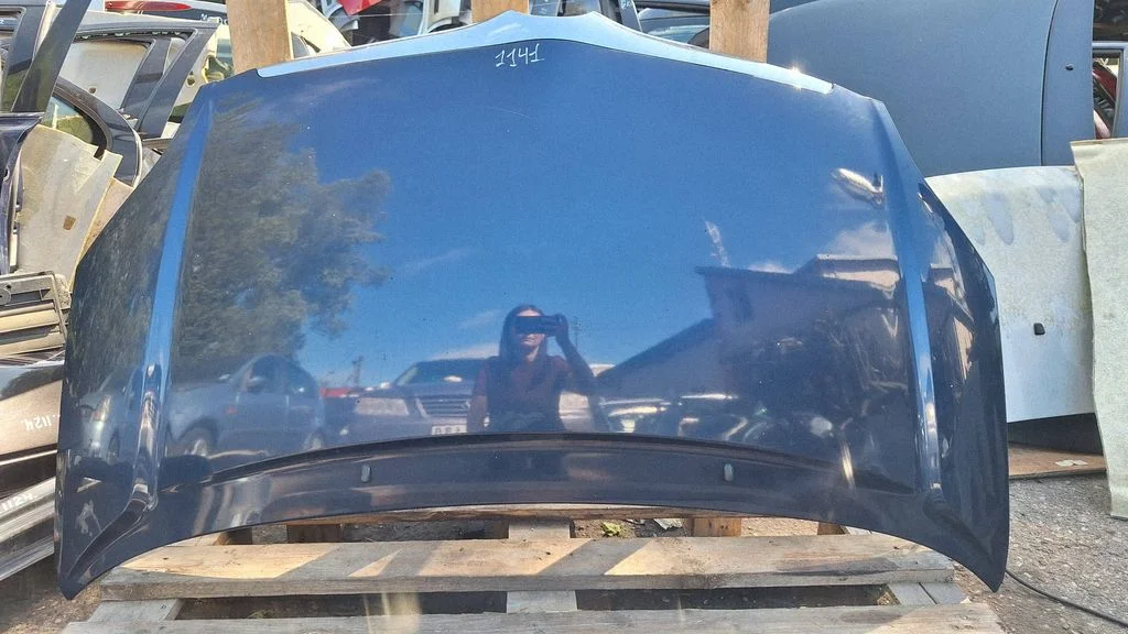 Engine bonnet/hood
