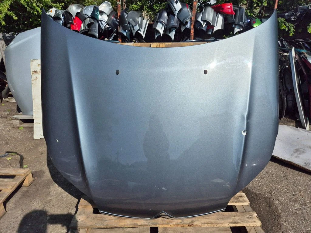 Engine bonnet/hood