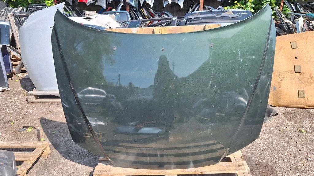 Engine bonnet/hood