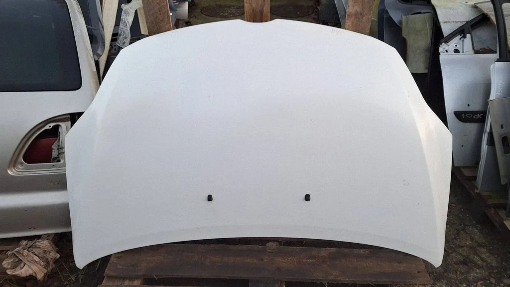 Engine bonnet/hood