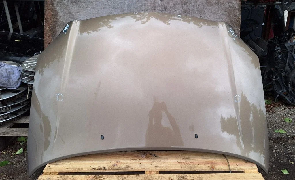 Engine bonnet/hood – front