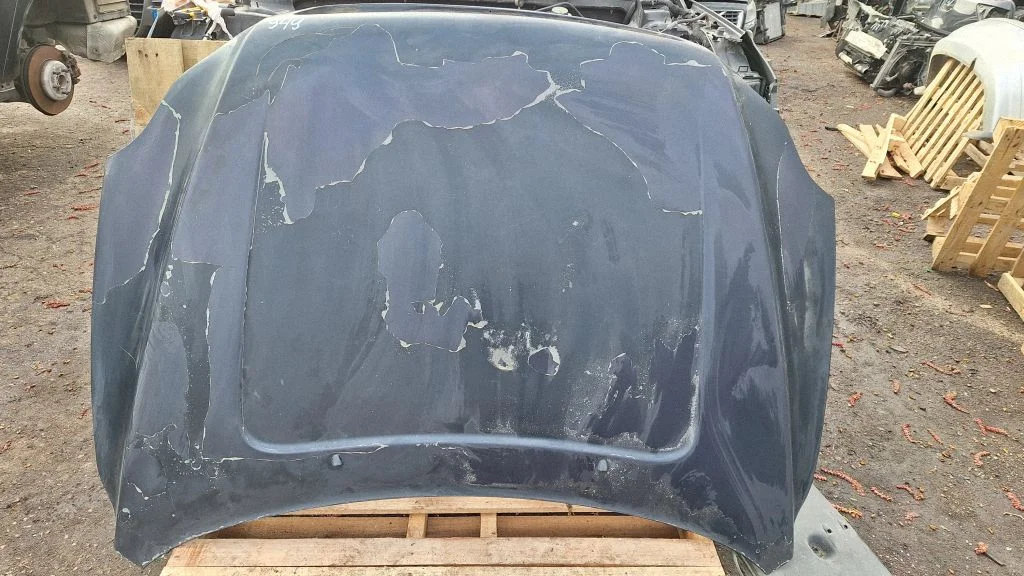 Engine bonnet/hood – front