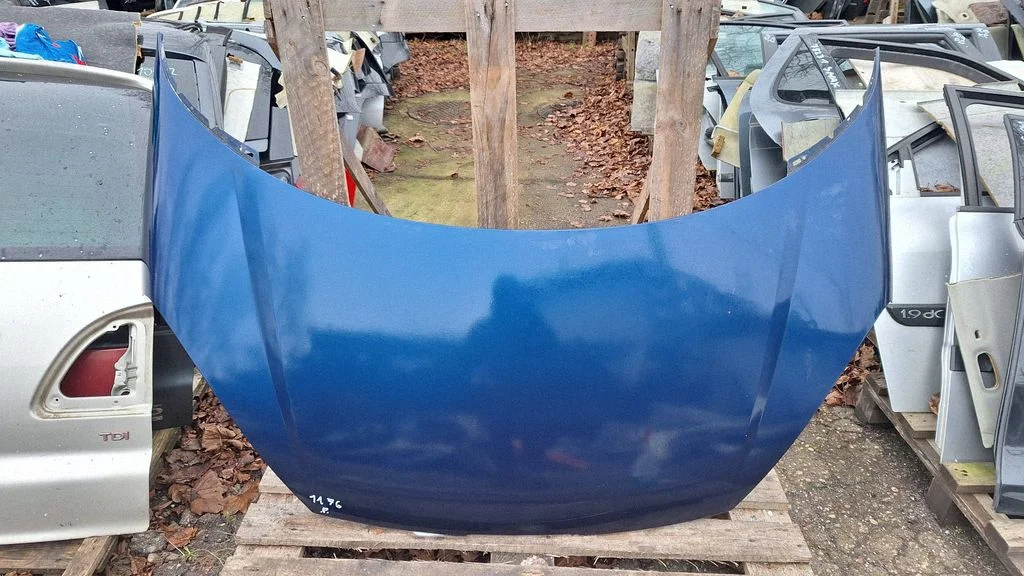 Engine bonnet/hood