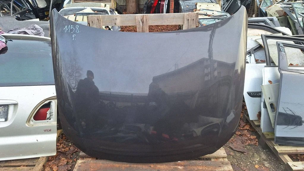 Engine bonnet/hood