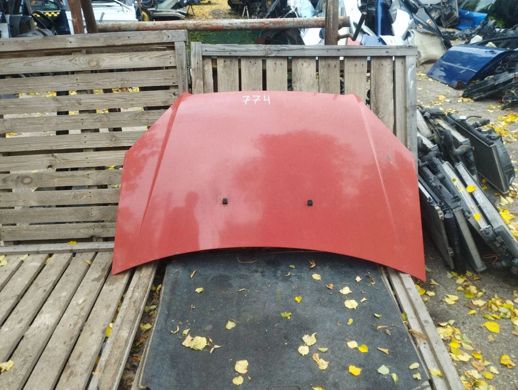 Engine bonnet/hood