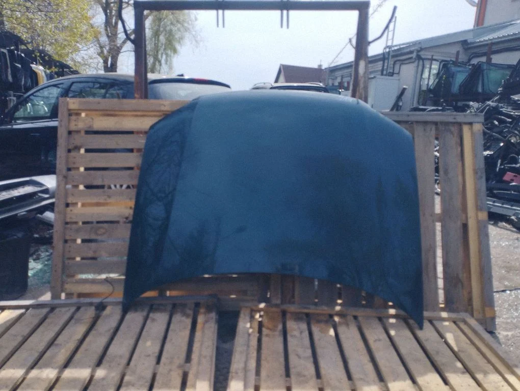 Engine bonnet/hood