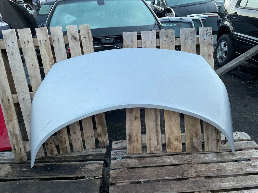Engine bonnet/hood