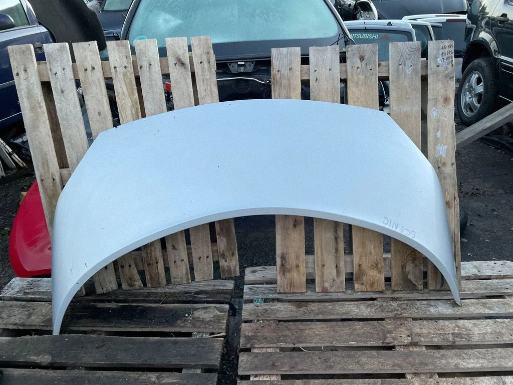 Engine bonnet/hood