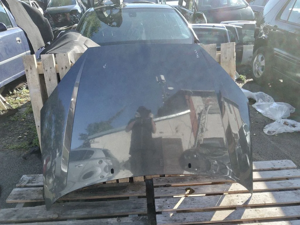 Mootorikapott – Ford Focus C-MAX (2003-2010)