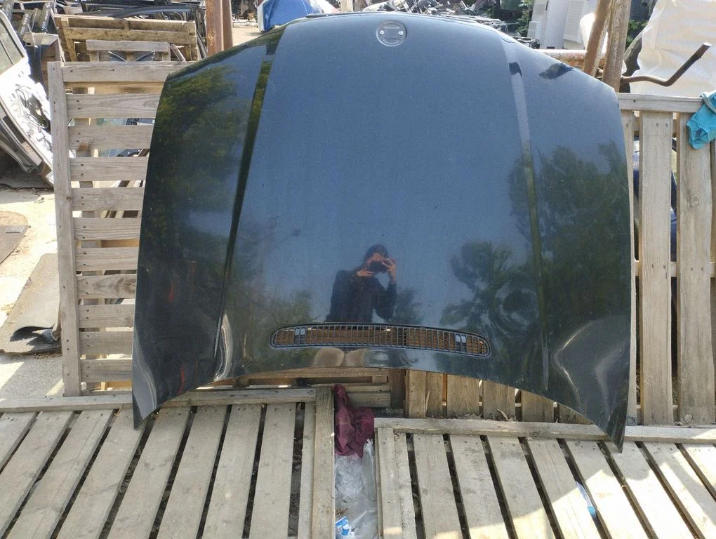 Engine bonnet/hood
