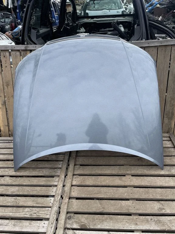 Engine bonnet/hood