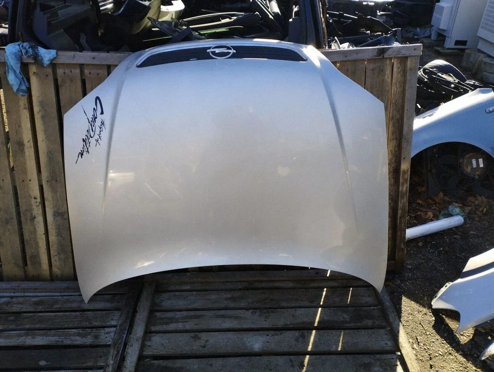 Engine bonnet/hood